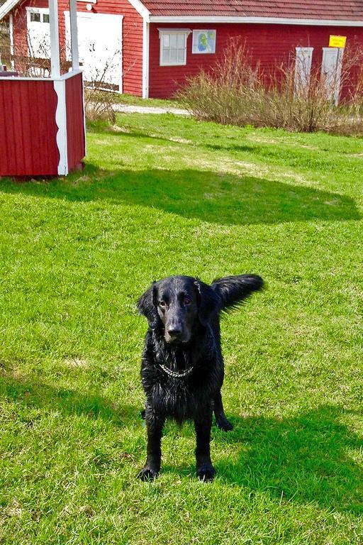 Paksuniemen Majatalo Bed & Breakfast Rääkkylä Bagian luar foto