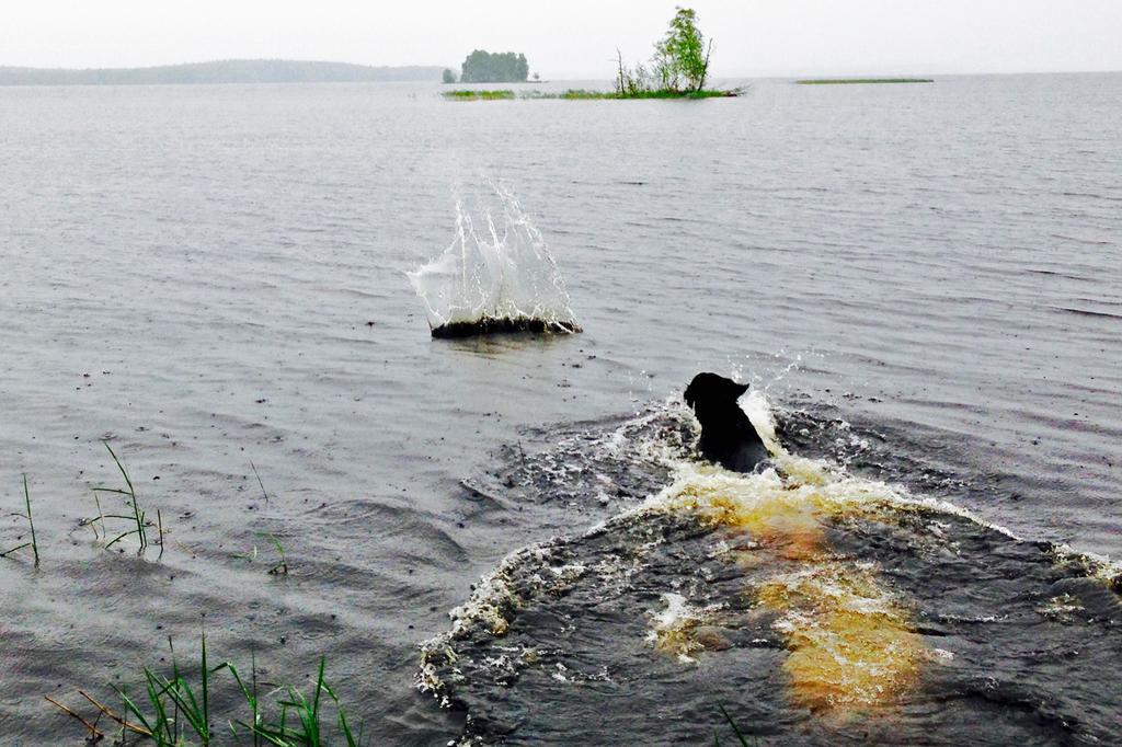 Paksuniemen Majatalo Bed & Breakfast Rääkkylä Bagian luar foto