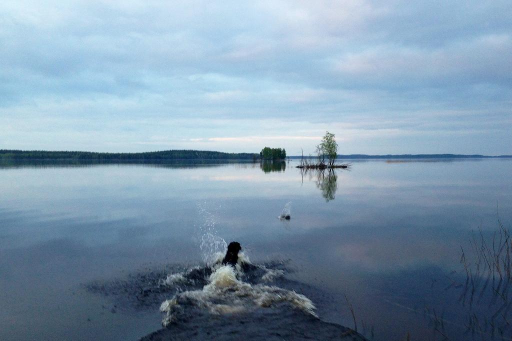 Paksuniemen Majatalo Bed & Breakfast Rääkkylä Bagian luar foto