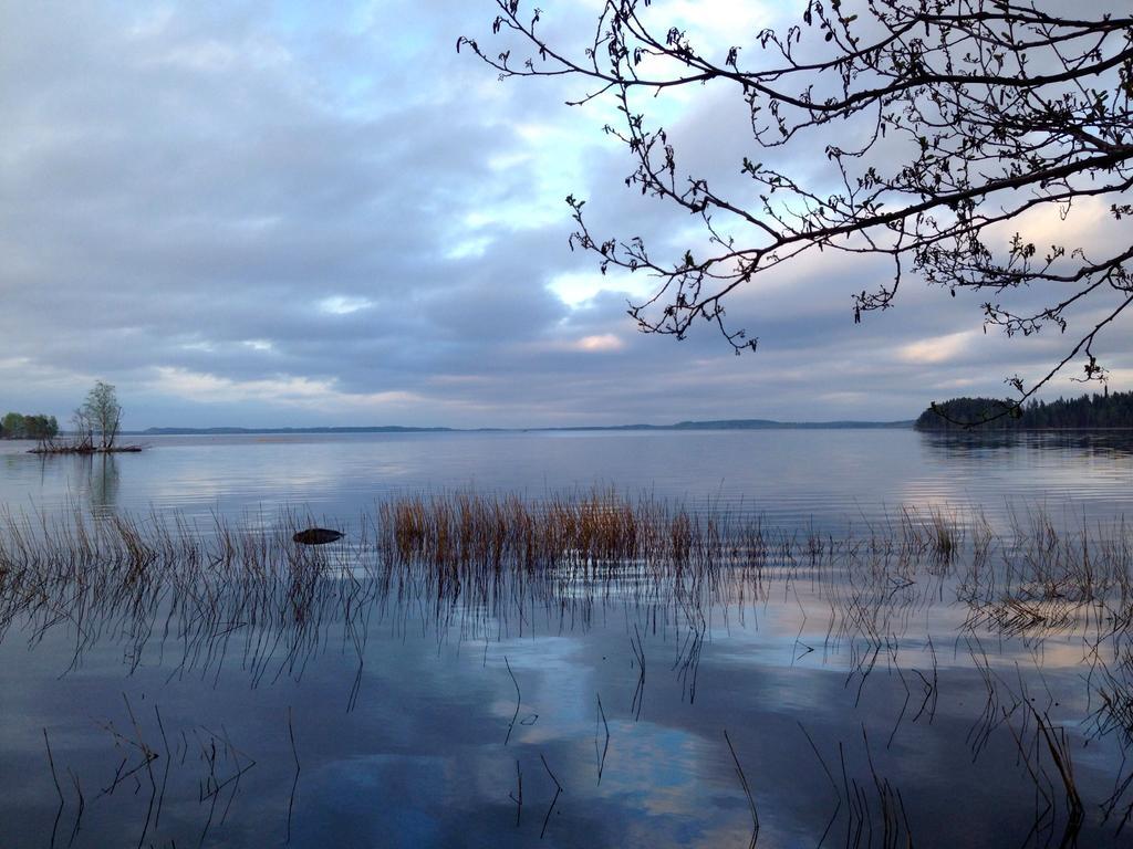 Paksuniemen Majatalo Bed & Breakfast Rääkkylä Bagian luar foto